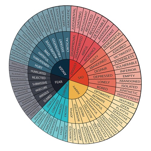 Reusable emotion wheel pvc - emotion,
